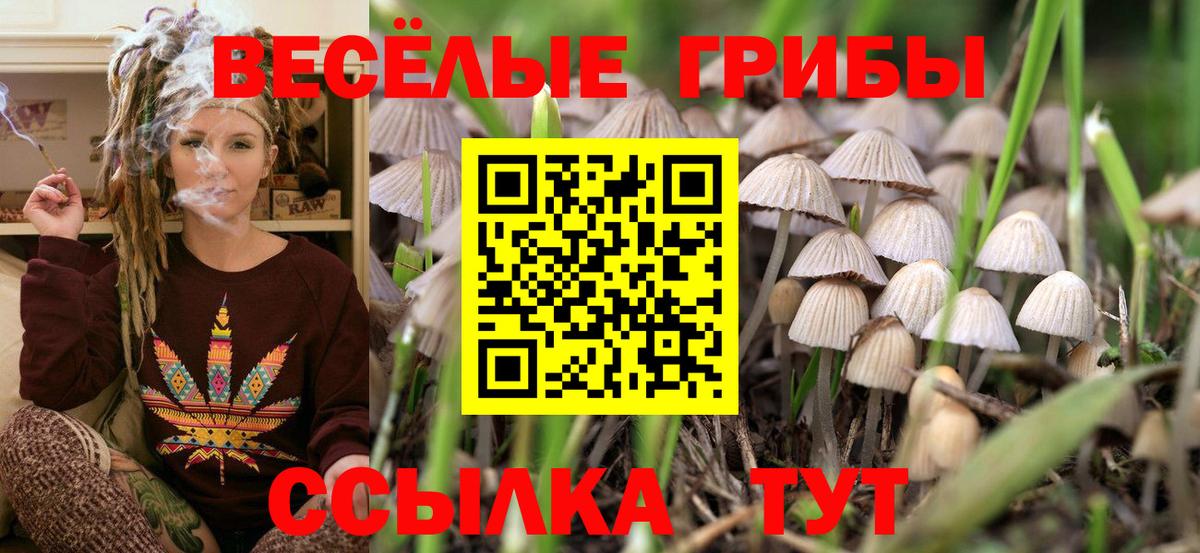 Галлюциногенные грибы мухоморы  Псилоцибиновые грибы прущие грибы  Среднеуральск  Вход с VPN 